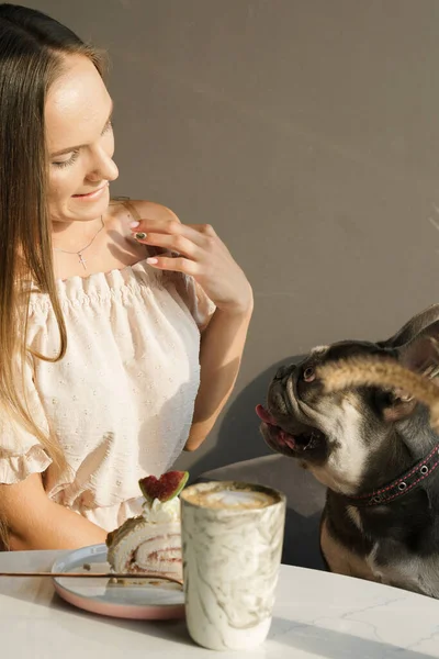 Russisches Mädchen Kommuniziert Mit Ihrem Französischen Bulldog Einem Tisch Einem — Stockfoto