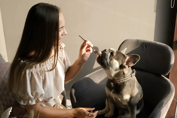 Russisches Mädchen Füttert Ihre Französische Bulldogge Von Hand Sie Sitzen — Stockfoto