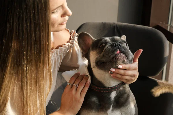 Ξανθιά Κοπέλα Σκουπίζει Στόμα Του Σκύλου Της Γαλλικό Μπουλντόγκ Χαρτοπετσέτα Εικόνα Αρχείου