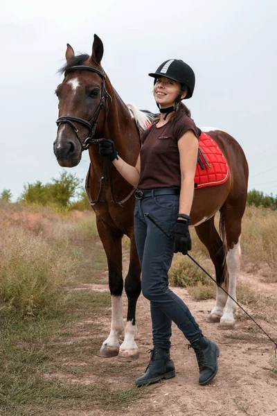 Young Girl Equestrian Outfit Feeds Her Piebald Horse Dressed Riding Stock Photo