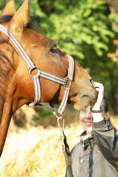 Chica Sonríe Toca Caballo Pinto Por Los Nos — Foto de Stock