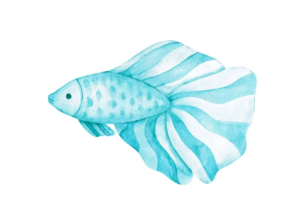 Ilustração aquarela de um peixe. Uma imagem bonita em azul monocromático, azul, cores verdes isolado em um fundo branco — Fotografia de Stock