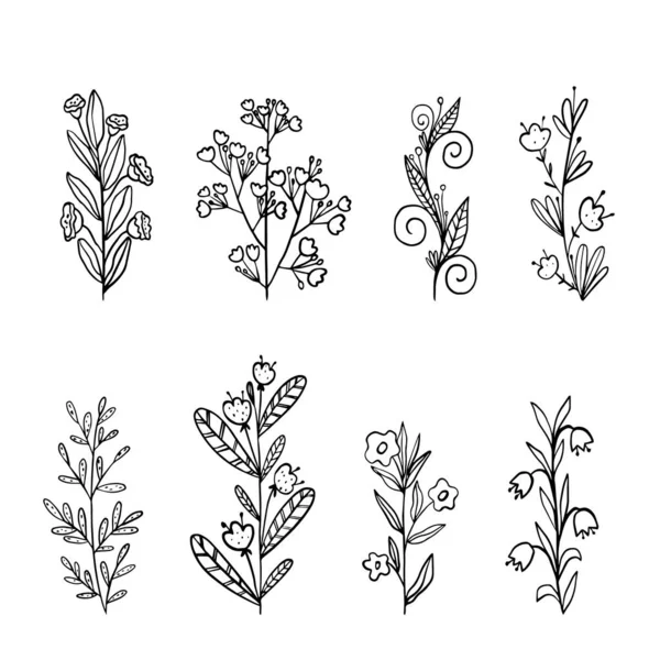 Set van eenvoudige bloemen, gras, twijgen. — Stockvector