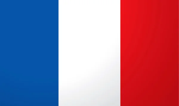 Francouzská vlajka znak — Stockový vektor