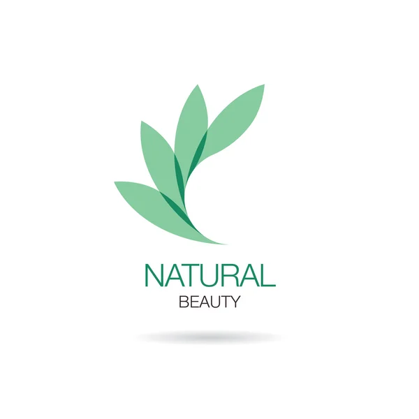 Logo spa design — Image vectorielle