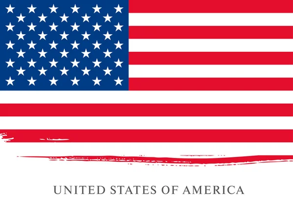 美国国旗发牢骚 — 图库矢量图片
