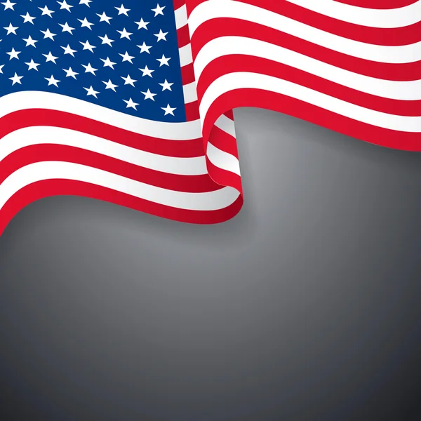 미국의 국기 — 스톡 벡터