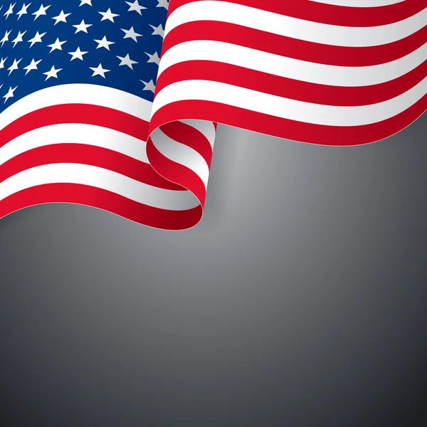 미국의 국기 — 스톡 벡터