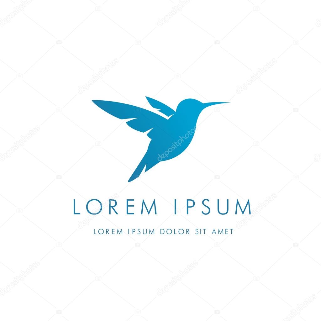 Colibri corporate logo. Bird icon design