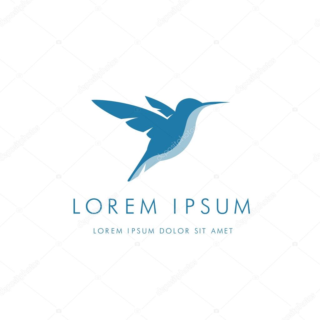 Colibri corporate logo. Bird icon design
