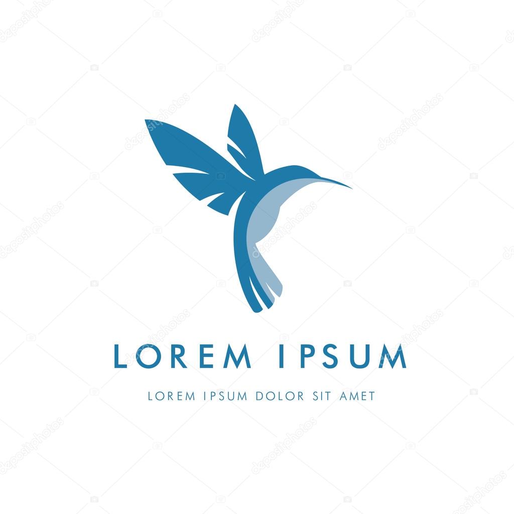 Colibri corporate logo. Bird icon design