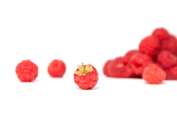 Himbeeren auf weißem Hintergrund — Stockfoto