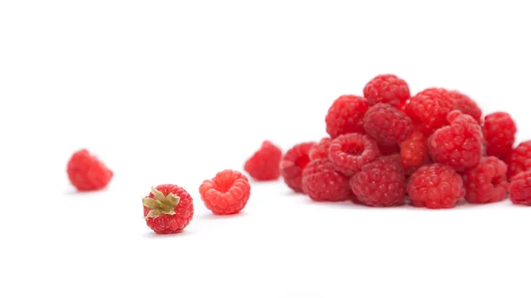 Raspberry di latar belakang putih — Stok Foto