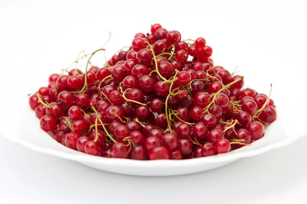 Red currant in a plate — Stock Photo, Image