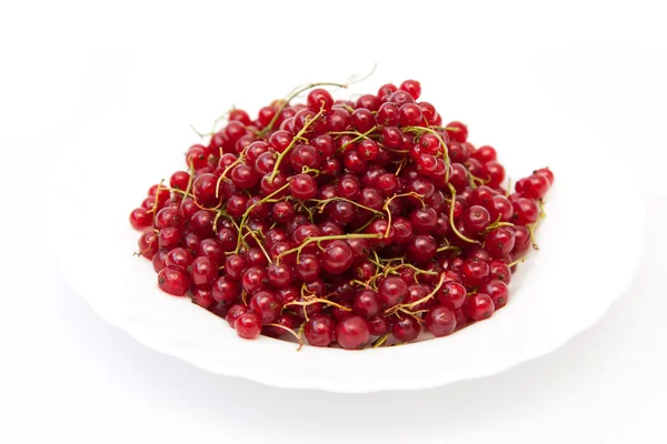 Red currant in a plate — Stock Photo, Image