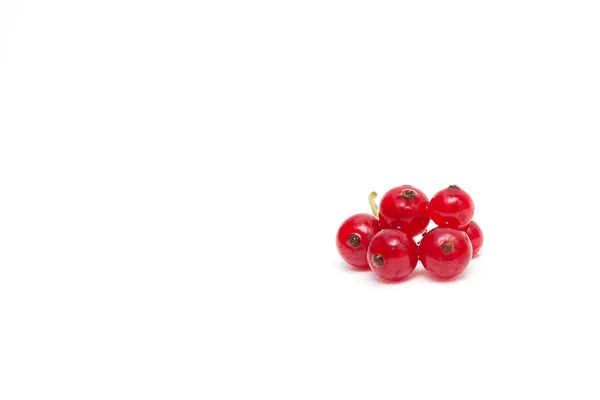 Красная смородина на белом фоне — стоковое фото