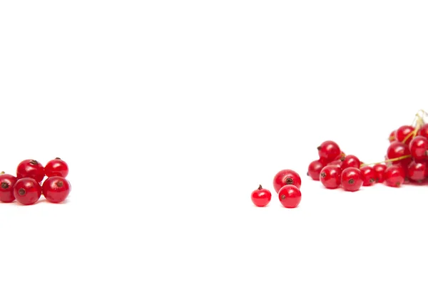 Groselha vermelha no fundo branco — Fotografia de Stock
