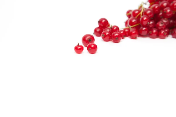 Red currant on white background — Stock Photo, Image