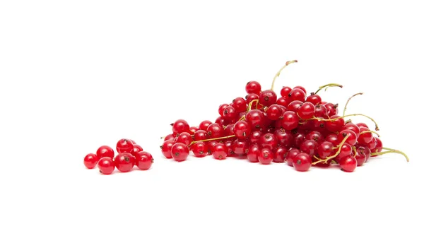 Red currant on white background — Stock Photo, Image