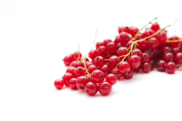 Red currant on white background — Stock Photo, Image