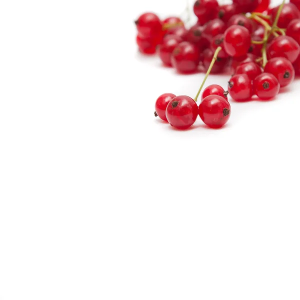Rote Johannisbeere auf weißem Hintergrund — Stockfoto