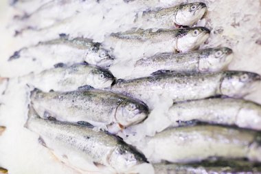 Buz üzerinde alabalık taze balık.