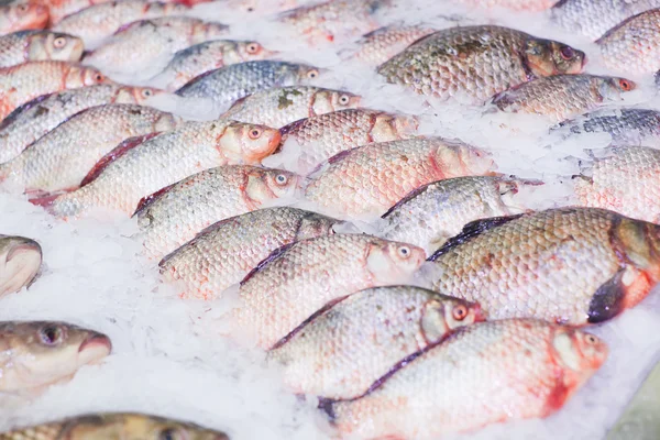 Buz üzerinde taze sazan