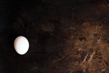 Koyu arka plan üzerinde yumurta. Metal arka plan üzerinde yumurta
