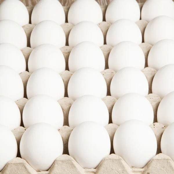 쟁반에 들어 있는 흰 달걀 — 스톡 사진
