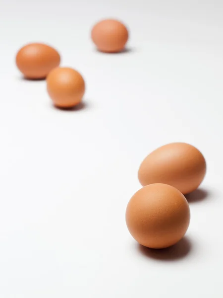 Eggs on white background — Stock Photo, Image