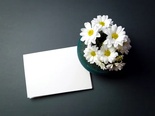 Krysantemum blommor. Vita blommor — Stockfoto
