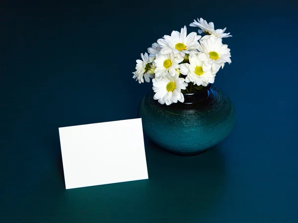 菊の花。白い花 — ストック写真