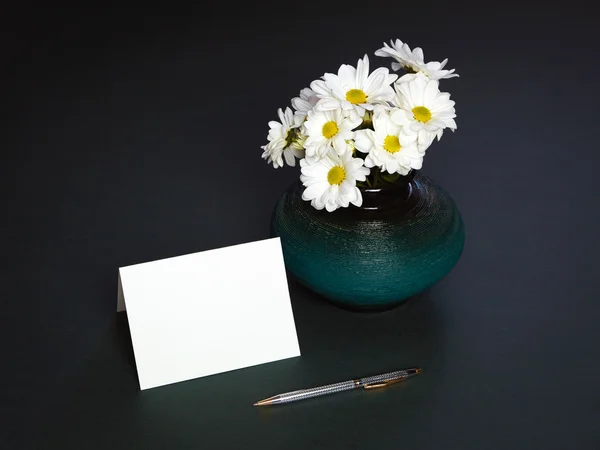 Flores de crisantemos. Flores blancas — Foto de Stock