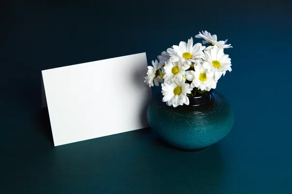 Flores de crisantemos. Flores blancas — Foto de Stock