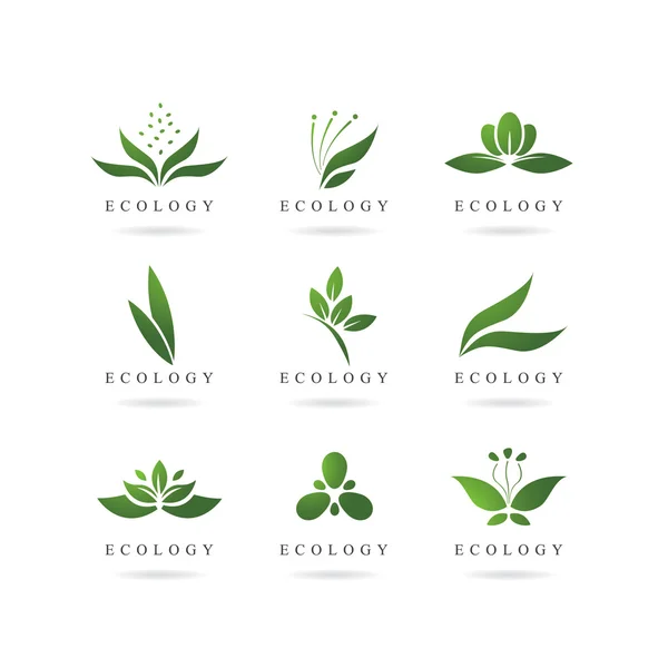 Eco green logos — Stock Vector