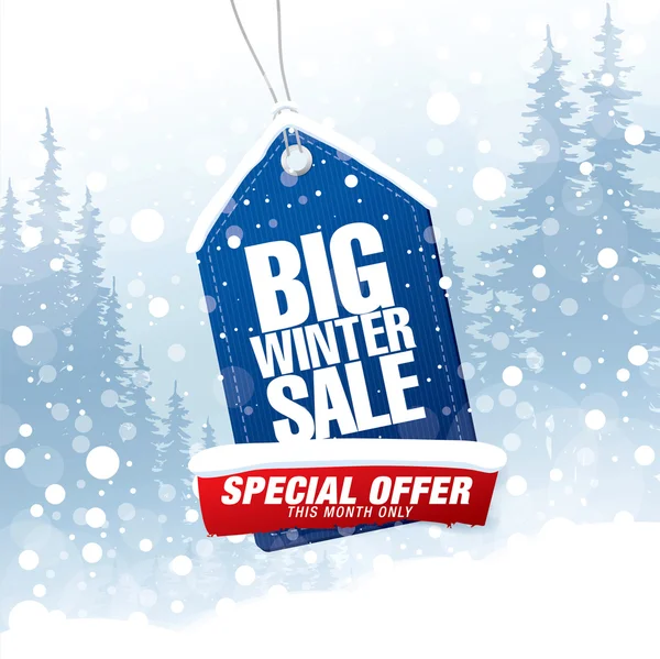 Big winter sale banner — Stock Vector