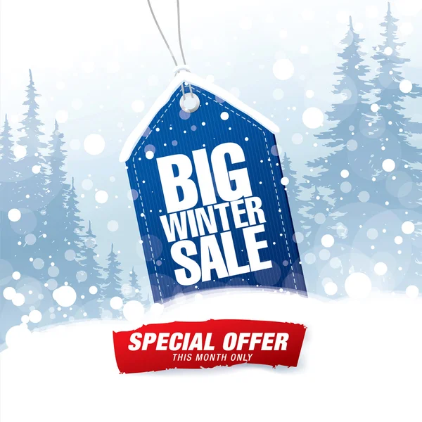 Big winter sale banner — Stock Vector