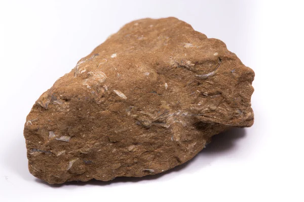 Piedra pizarra bituminosa — Foto de Stock