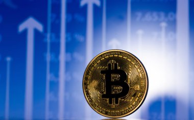 bitcoin altın sikke