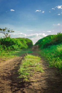 Kırsal kesimde dar bir yol, kırsal kesimde kopyalanmış küçük toprak bir yol.