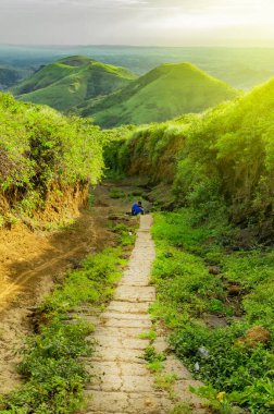 Etrafı bitki örtüsüyle çevrili bir patika arkasında bir tepe bir tepeye çıkan bir patika.