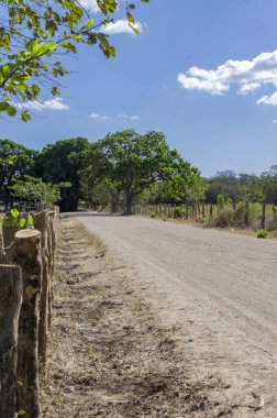 Bulutları ve mavi gökyüzü olan ağaçlarla çevrili bir yol. Güneşli bir günde fotokopi alanı olan ağaçlarla çevrili bir yol.