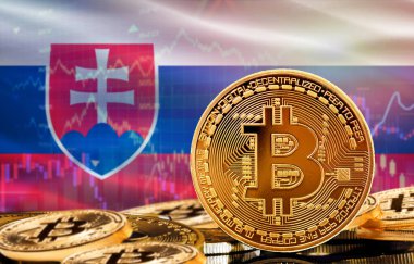 Slovakya 'daki kripto para birimi ve engelleme teknolojisi yatırımcıları. Arka planda Slovakya bayrağı olan Bitcoin