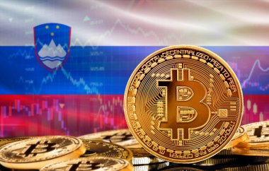 Slovenya 'daki kripto para birimi ve engelleme teknolojisi yatırımcıları. Arka planda Slovenya bayrağı olan Bitcoin