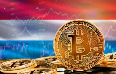 Lüksemburg 'daki kripto para birimi ve engelleme teknolojisi yatırımcıları. Arka planda Lüksemburg bayrağı olan Bitcoin