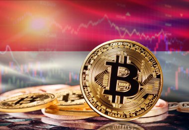 Arkasında Endonezya bayrağı olan Bitcoin. Endonezya 'daki Kripto Para Birimi ve Endonezya Teknolojisi Yatırımcıları
