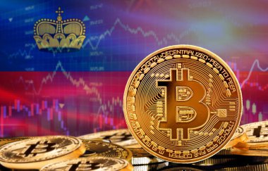 Liechtenstein 'deki kripto para birimi ve blok zinciri teknolojisi yatırımcıları. Arka planda Lihtenştayn bayrağı olan Bitcoin