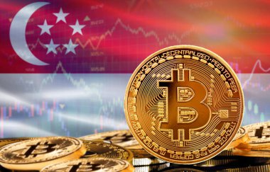 Singapur 'daki kripto para birimi ve blok zinciri teknolojisi yatırımcıları. Arka planda Singapur bayrağı olan Bitcoin