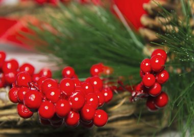 Noel süslemeleri Noel ağacı dalı kırmızı meyveler ve koni