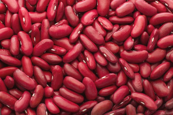 Background, texture of red beans in a scattering of food legumes Stock Image